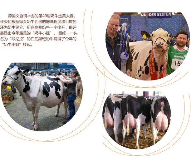 里番动漫姐姐 动漫我非常乐意为你提供帮助